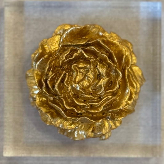 Golden Bloom